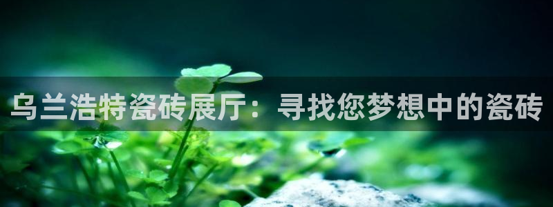 杏鑫平台直属