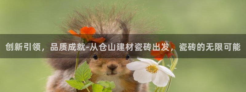 杏鑫平台代理怎么做