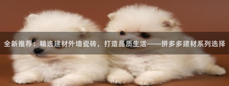 杏鑫平台下载安装