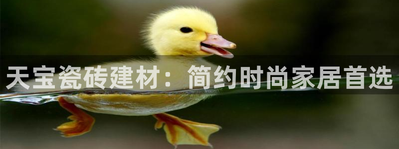 杏鑫平台登录地址在哪