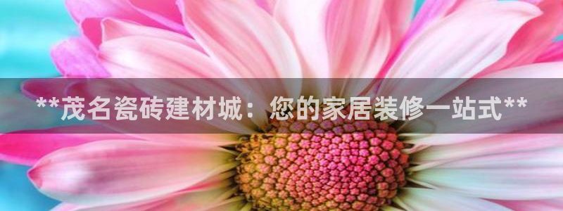 杏鑫平台注册网址