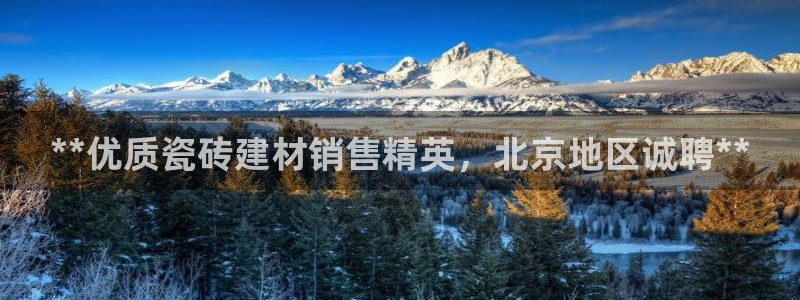 杏鑫官网注册账号是什么样的