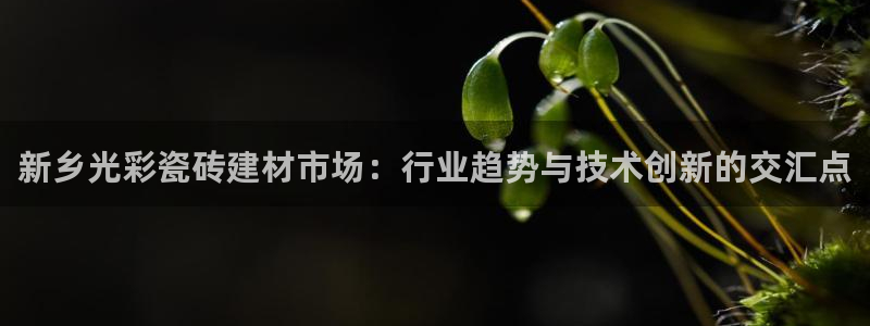 杏鑫官网注册账号密码