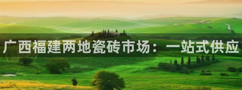 杏鑫官方平台怎么样啊知乎