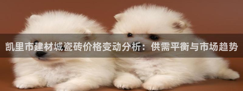 杏鑫代理注册资金多少