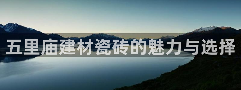 杏鑫平台登录地址在哪