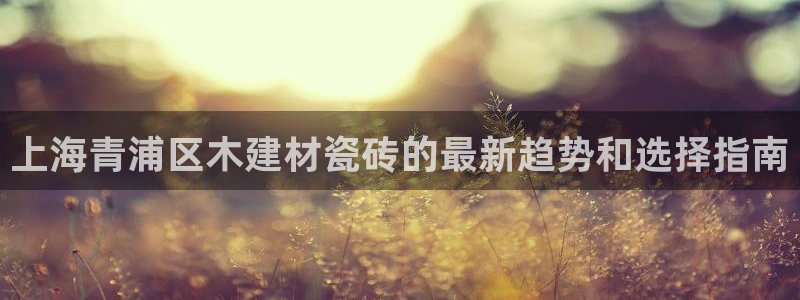 杏鑫平台登录地址查询