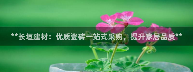 杏鑫平台注册入口在哪里找