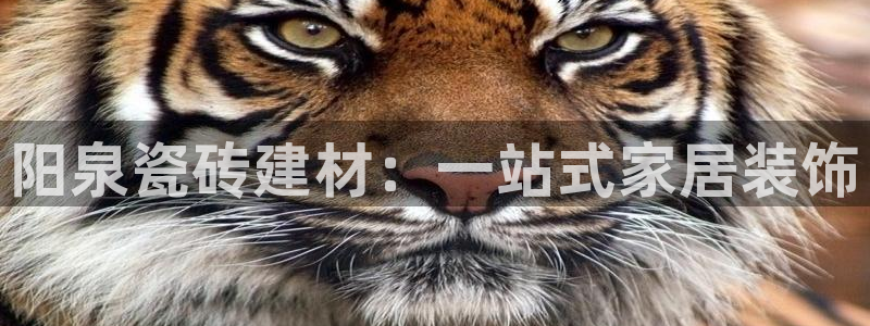 杏鑫娱乐平台登录