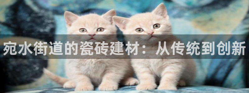 杏鑫平台代理注册登录不了怎么办呀