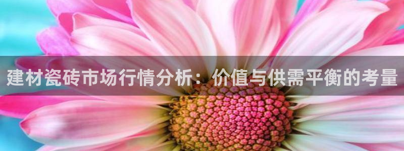 杏鑫平台代理注册流程图