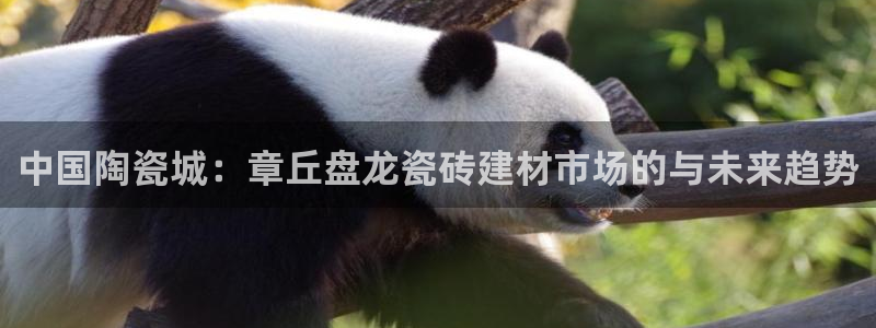 杏鑫平台是黑平台吗是真的吗