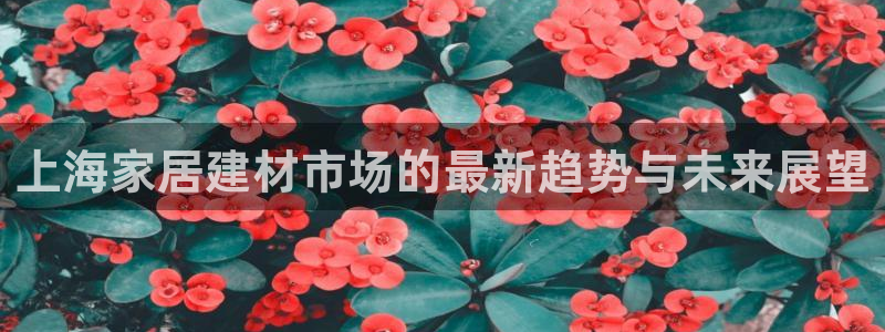 杏鑫娱乐是真的吗